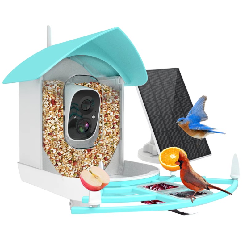 Smart Bird Feeder Camera - Умная кормушка для птиц, комнатная камера