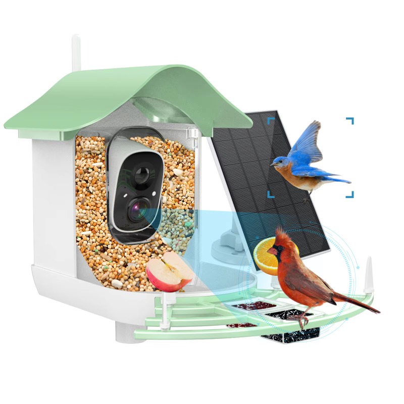 Smart Bird Feeder Camera - Приложение 2026, камера с автоматической захватами,