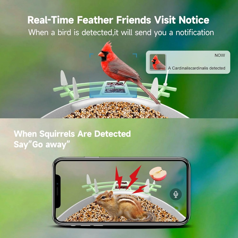 Умная кормушка для птиц на сол – обзор и цена Smart Bird Feeder Camera