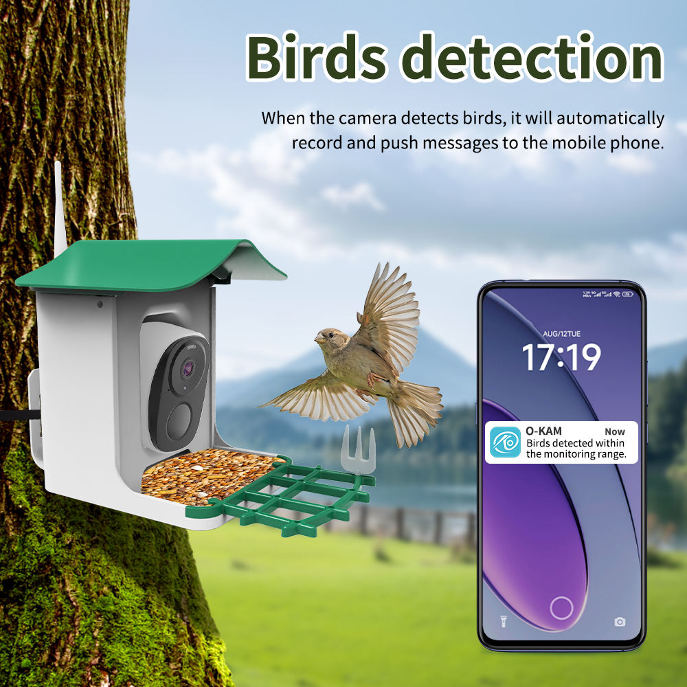 OEM 3 МП O-KAM WIFI Камера-кор – обзор и цена Smart Bird Feeder Camera