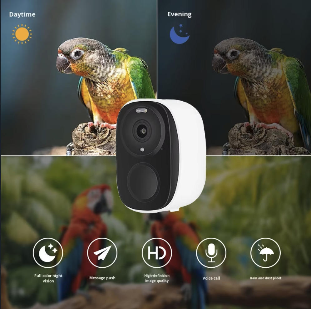 OEM 3 МП O-KAM WIFI Камера-кор – обзор и цена Smart Bird Feeder Camera