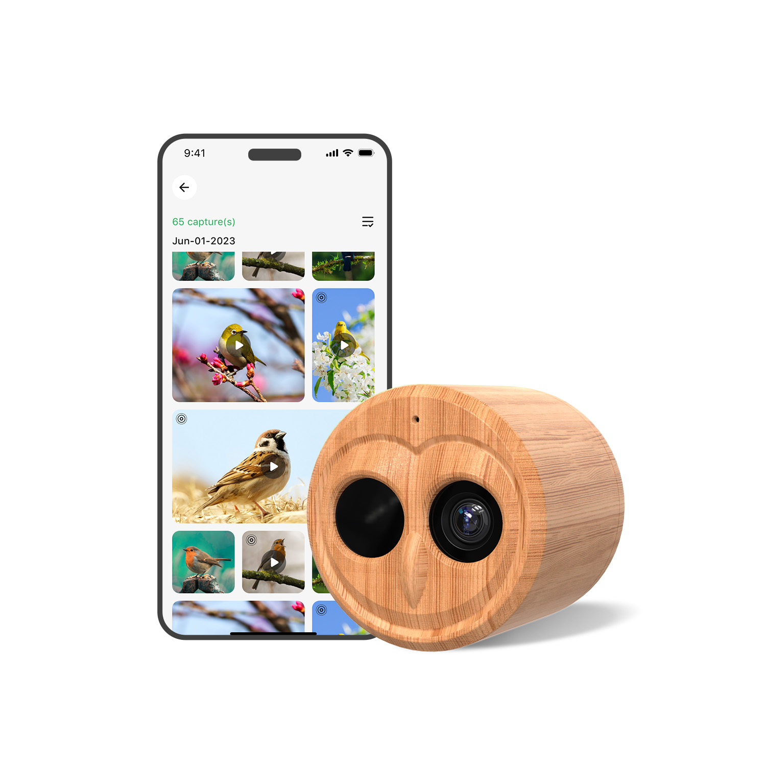 Умная кормушка для птиц 4K с к – обзор и цена Smart Bird Feeder Camera