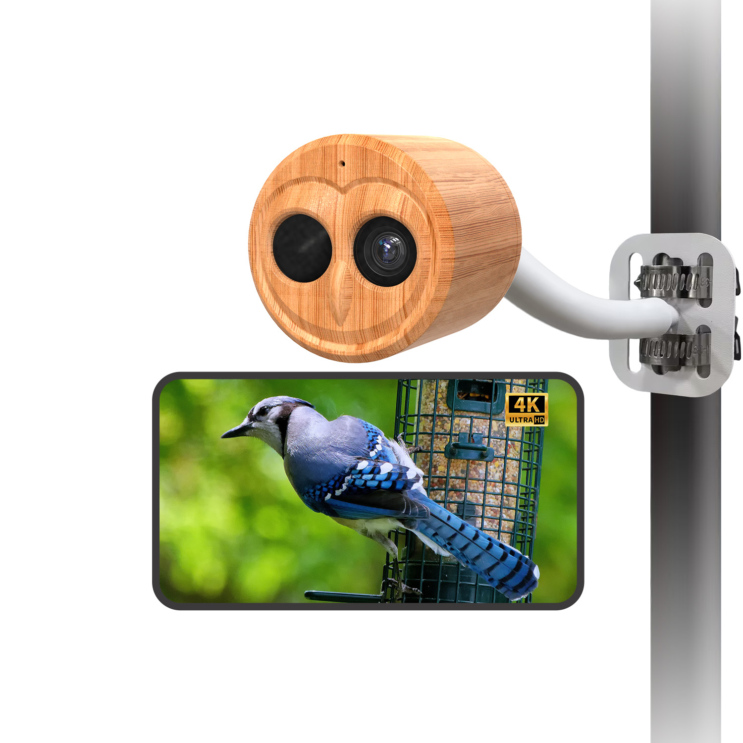 Умная кормушка для птиц 4K с к – обзор и цена Smart Bird Feeder Camera
