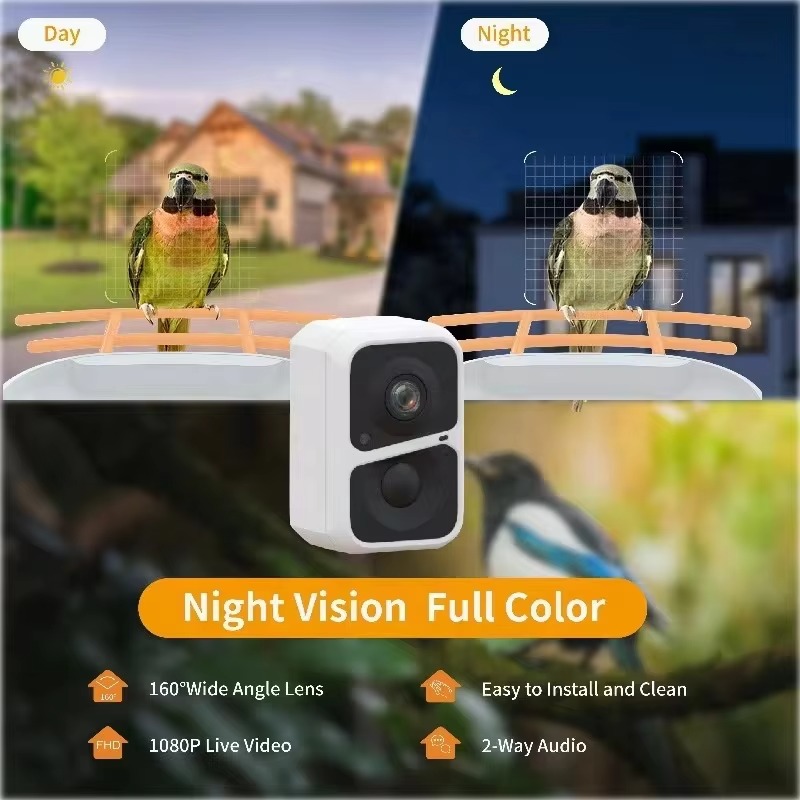 Умная камера-кормушка для птиц – обзор и цена Smart Bird Feeder Camera