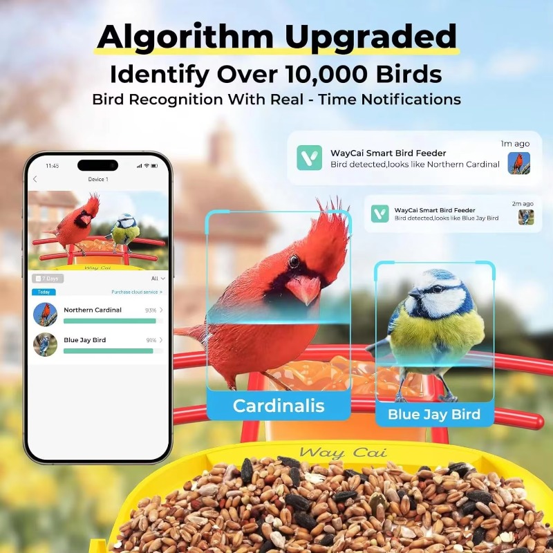 Умная камера-кормушка для птиц – обзор и цена Smart Bird Feeder Camera