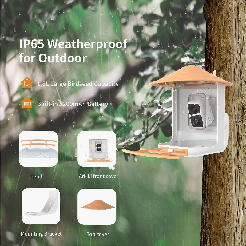 Умная камера-кормушка для птиц – обзор и цена Smart Bird Feeder Camera