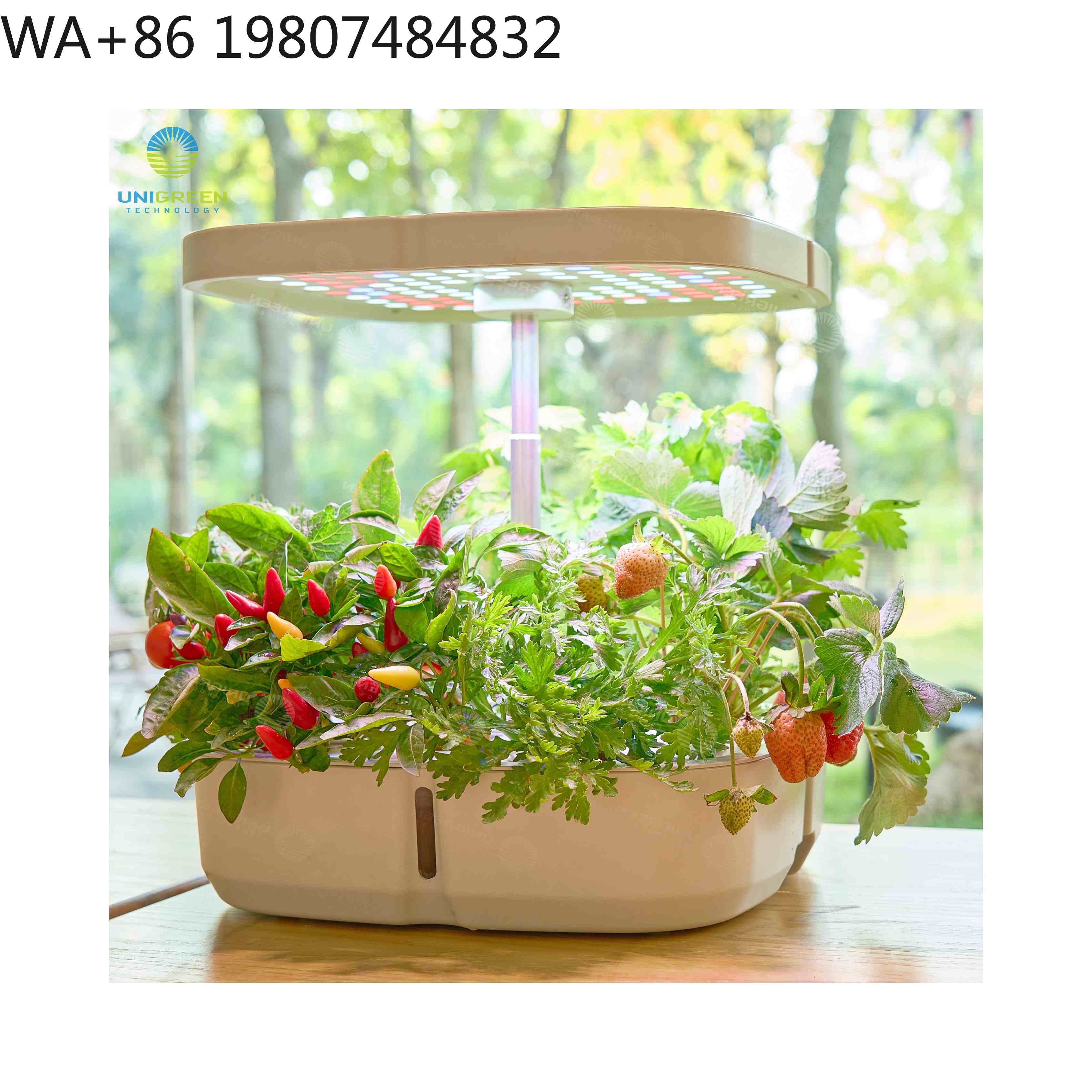 8-секционный мини-гидропонный  – обзор и цена Hydroponic Grow Pod