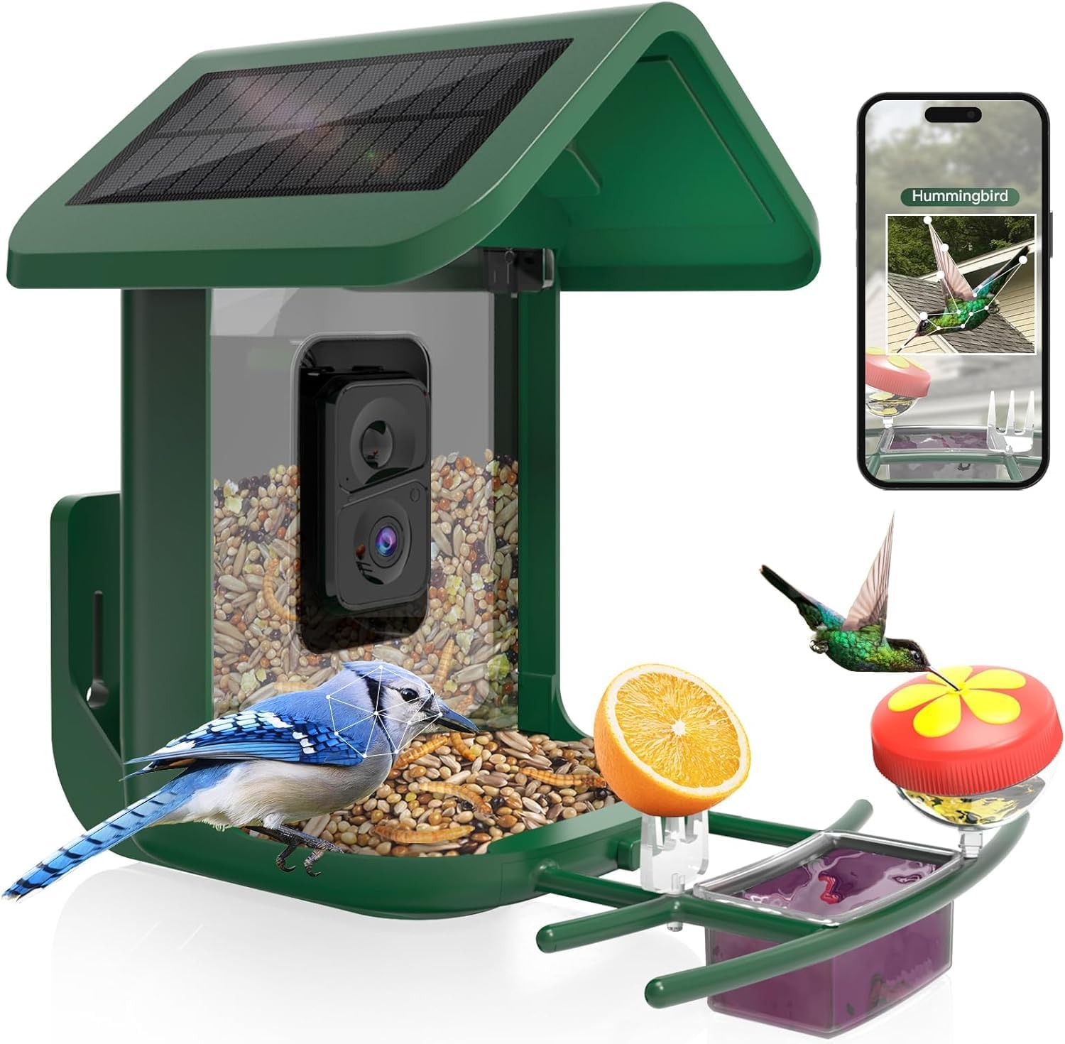 Умная кормушка для птиц с каме – обзор и цена Smart Bird Feeder Camera