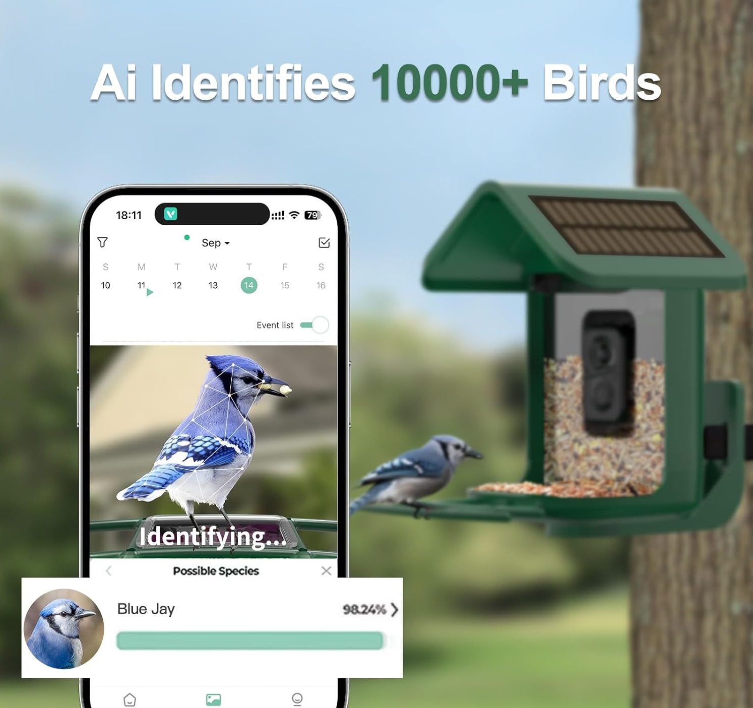 Умная кормушка для птиц с каме – обзор и цена Smart Bird Feeder Camera