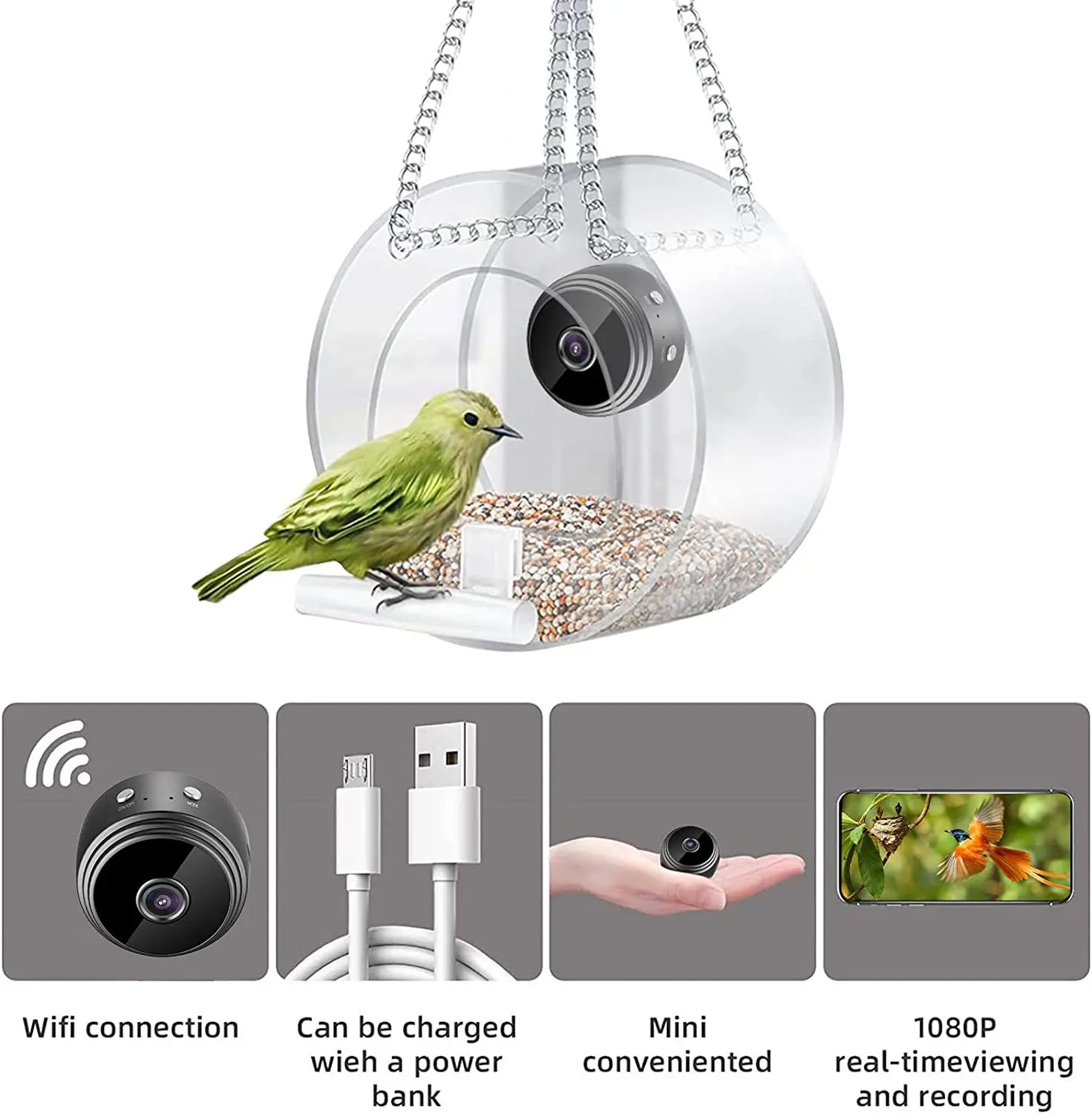 Умная кормушка для птиц 2023 г – обзор и цена Smart Bird Feeder Camera