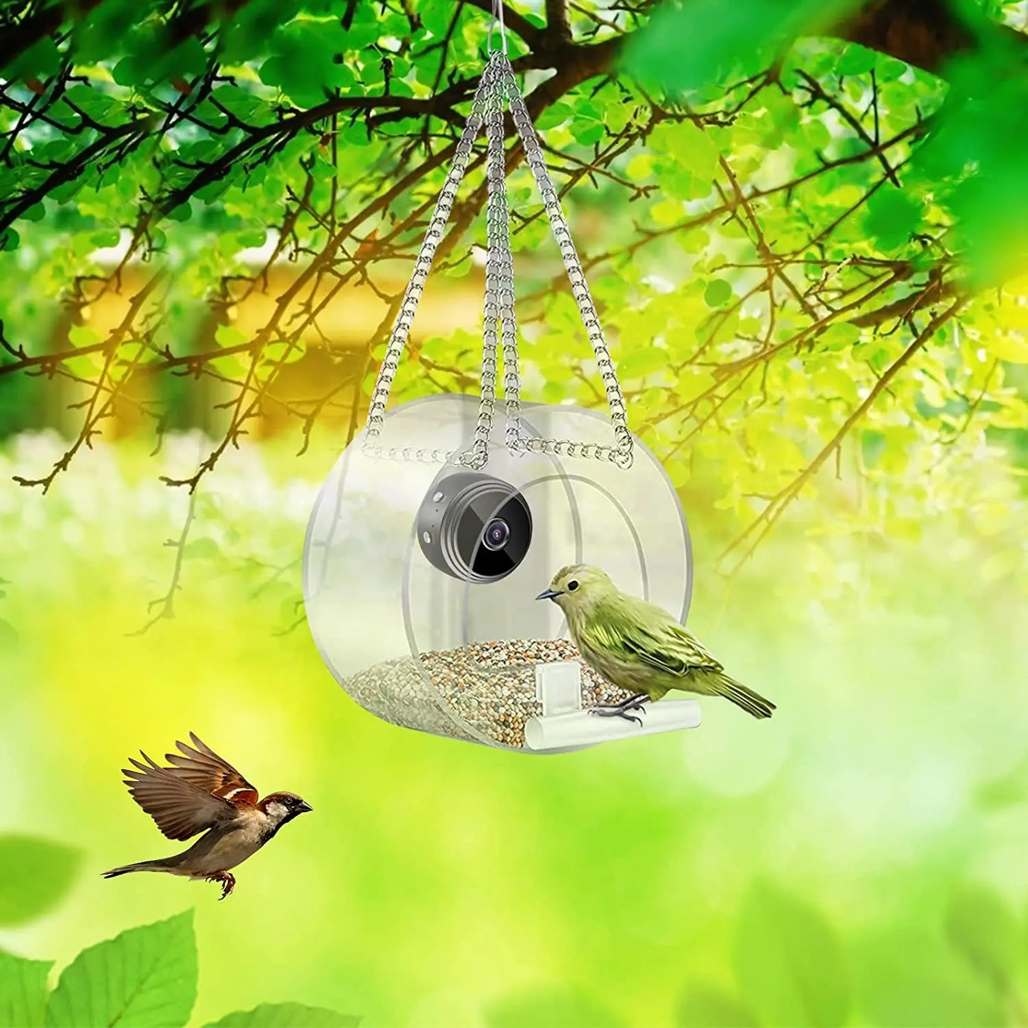 Умная кормушка для птиц 2023 г – обзор и цена Smart Bird Feeder Camera