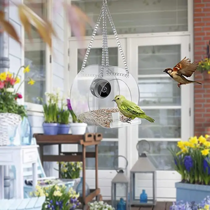 Умная кормушка для птиц 2023 г – обзор и цена Smart Bird Feeder Camera