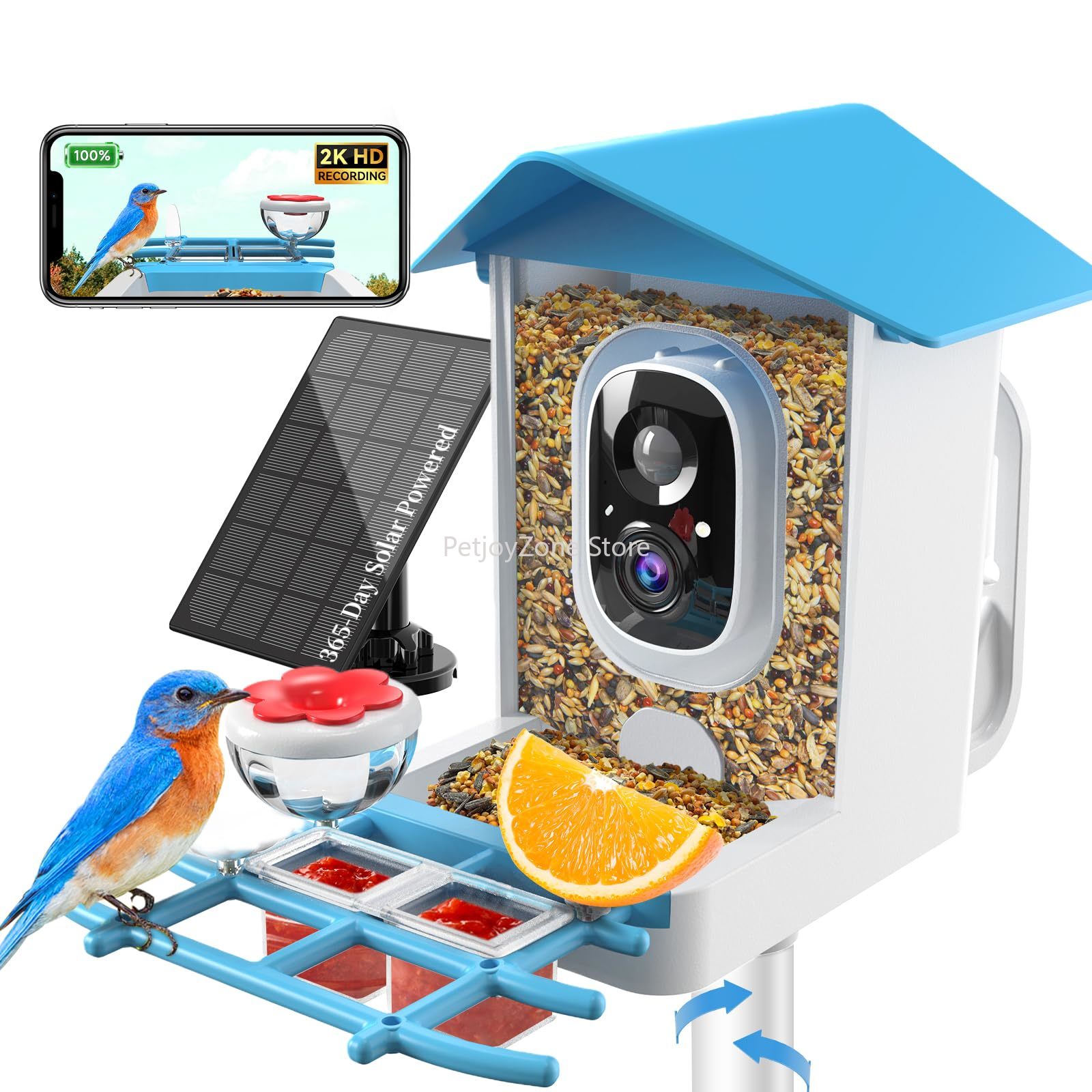 Умная камера-кормушка для птиц – обзор и цена Smart Bird Feeder Camera