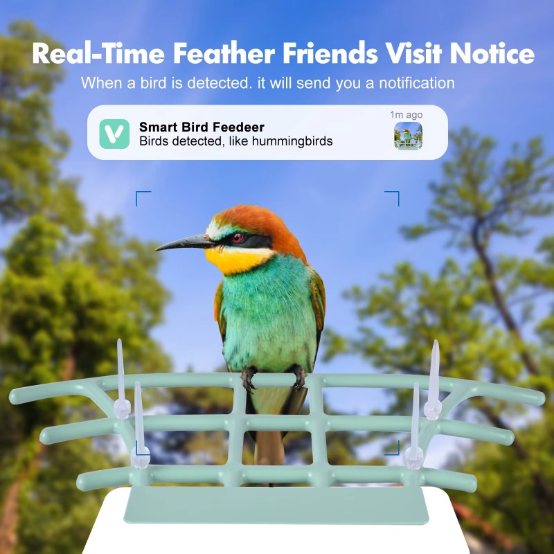 Умная кормушка для птиц, комна – обзор и цена Smart Bird Feeder Camera