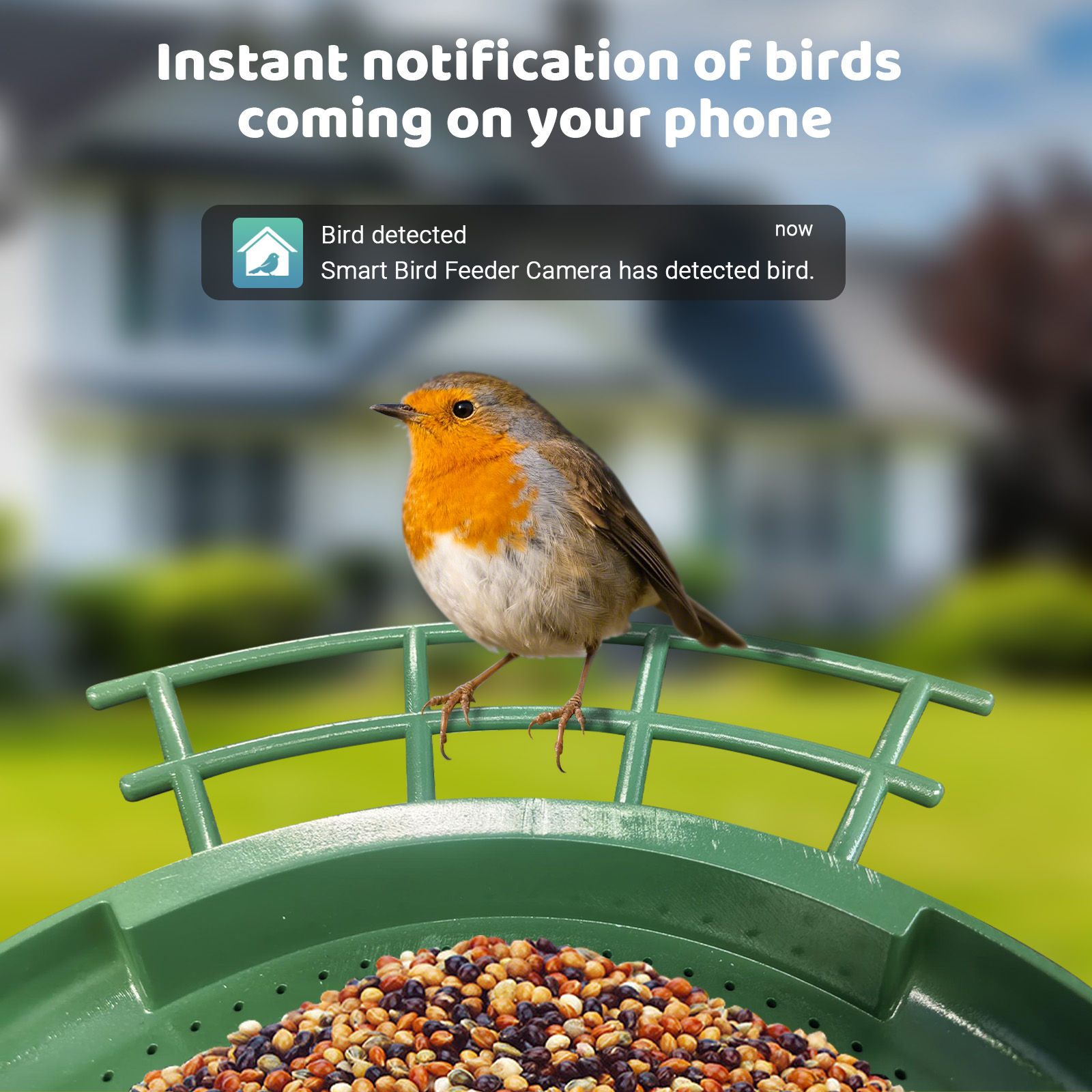 Умная кормушка для птиц с двум – обзор и цена Smart Bird Feeder Camera