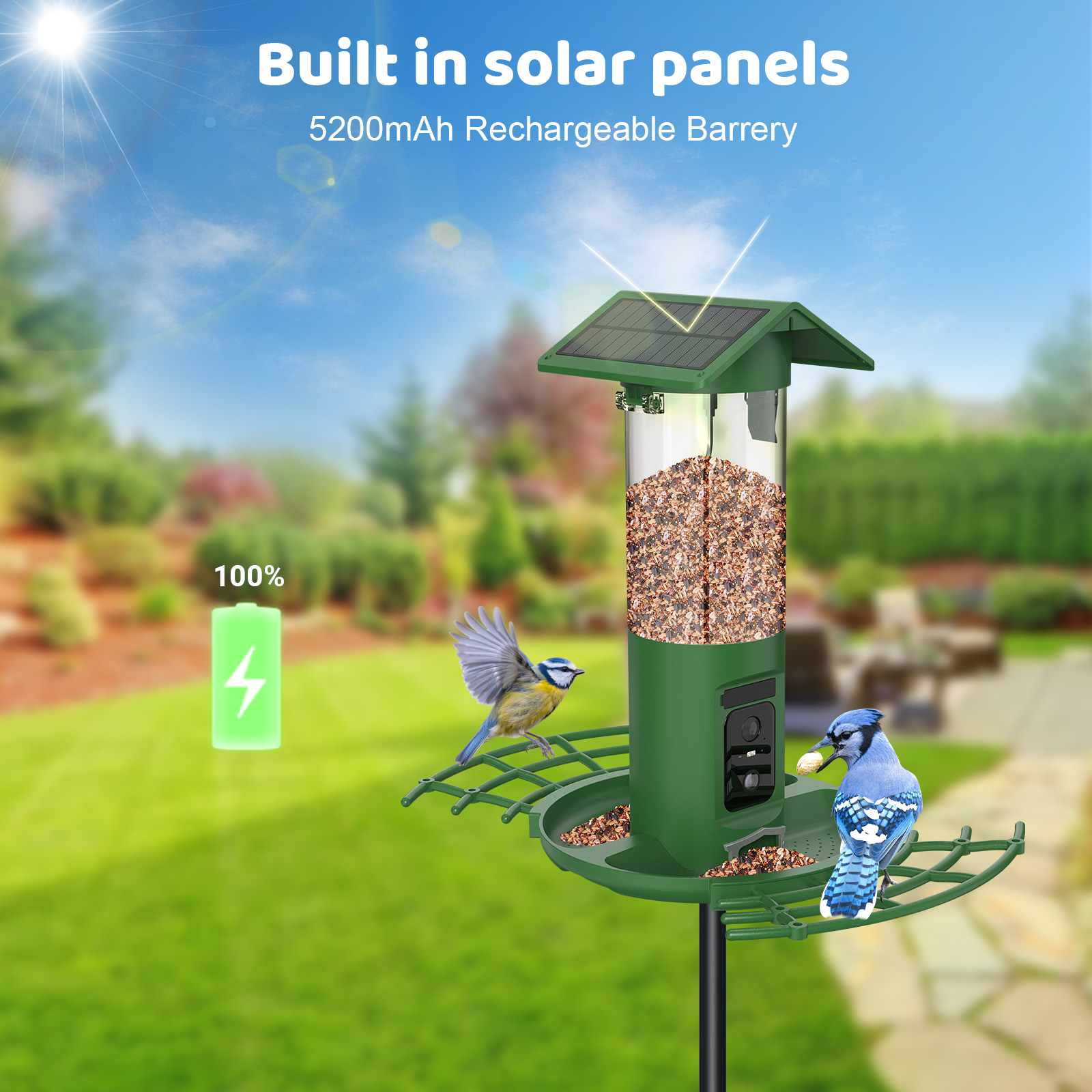 Умная кормушка для птиц с двум – обзор и цена Smart Bird Feeder Camera