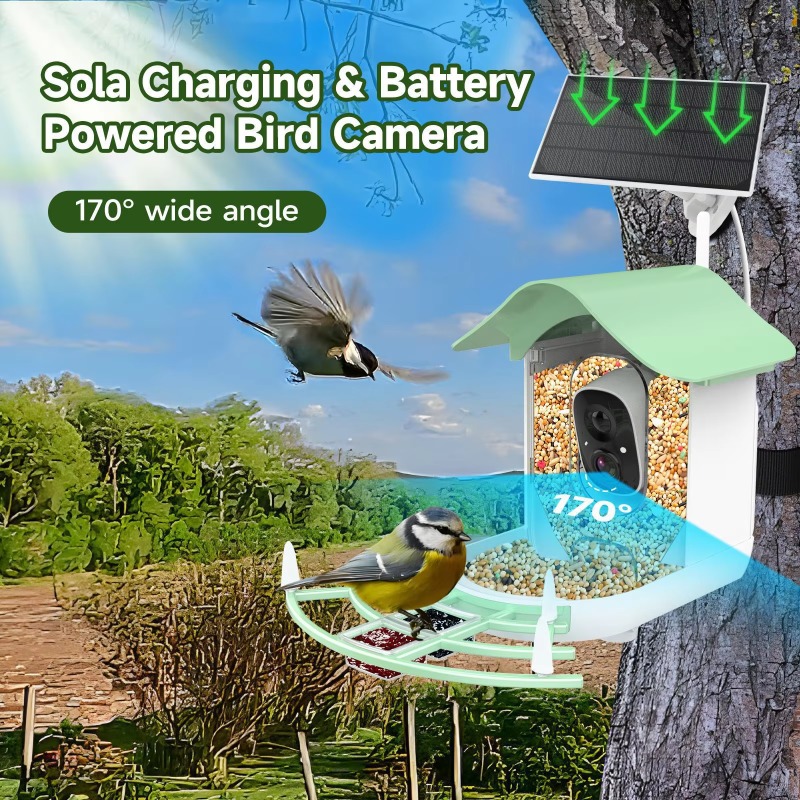 Приложение 2026, камера с авто – обзор и цена Smart Bird Feeder Camera
